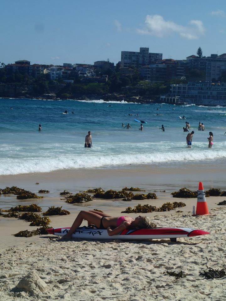 Bondi Beach - Bondi Beach Scenery