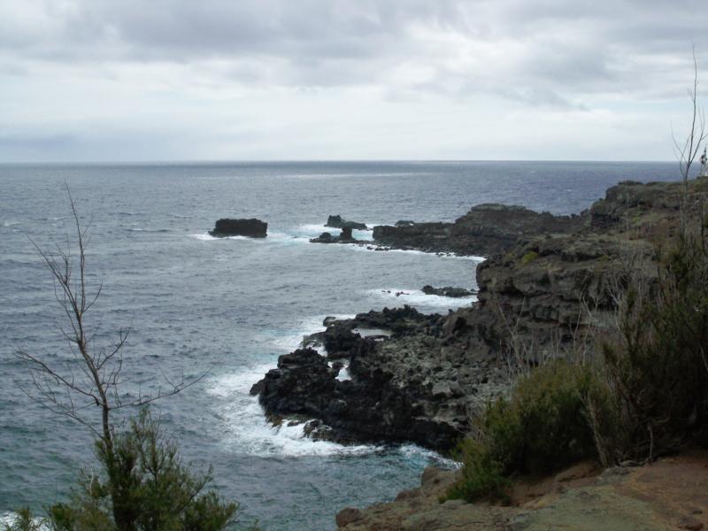 Nakalele Point / Blowhole - Nakalele Point