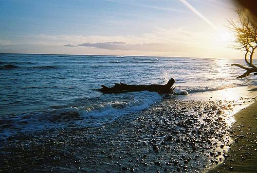 Papalaua - Papalauia Beach