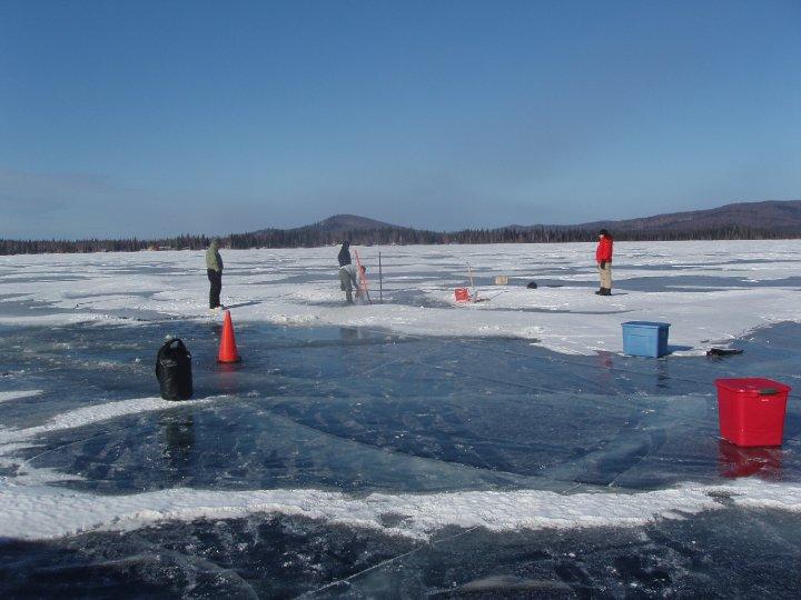 Birch Lake - birch lake