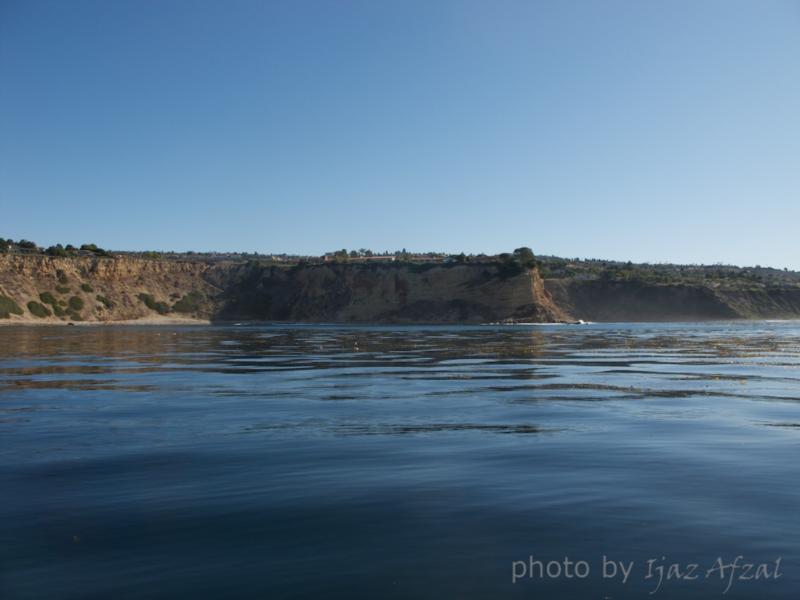 Honeymoon Cove - View from Ocean