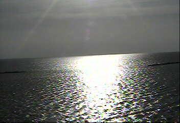 Corpus Christi Bay - Harbor View