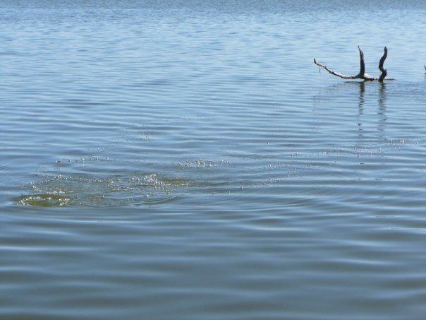 Lake Granbury - Granbury Lake