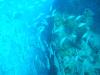 It gets fishy in September :) - LatitudeAdjustment