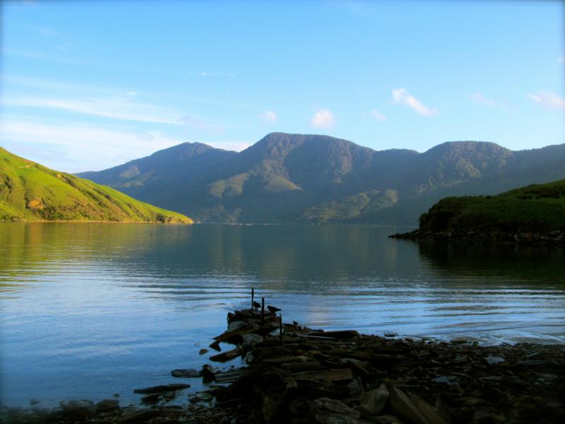 Wreck of The MS Mikhail Lermontov - Port Gore