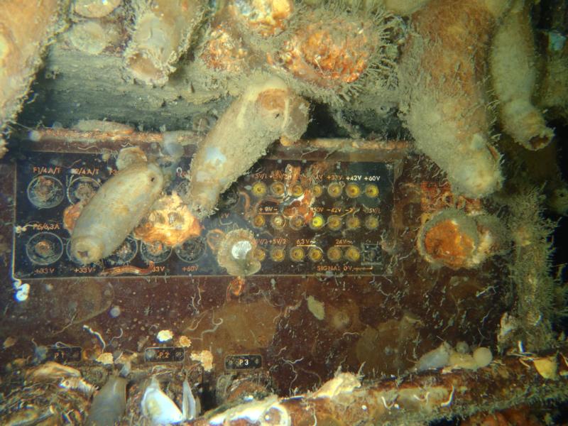 Wreck of The MS Mikhail Lermontov - In The Interior