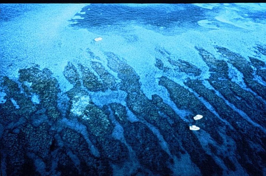 Looe Key National Marine Sanctuary - Aerial view of ocean