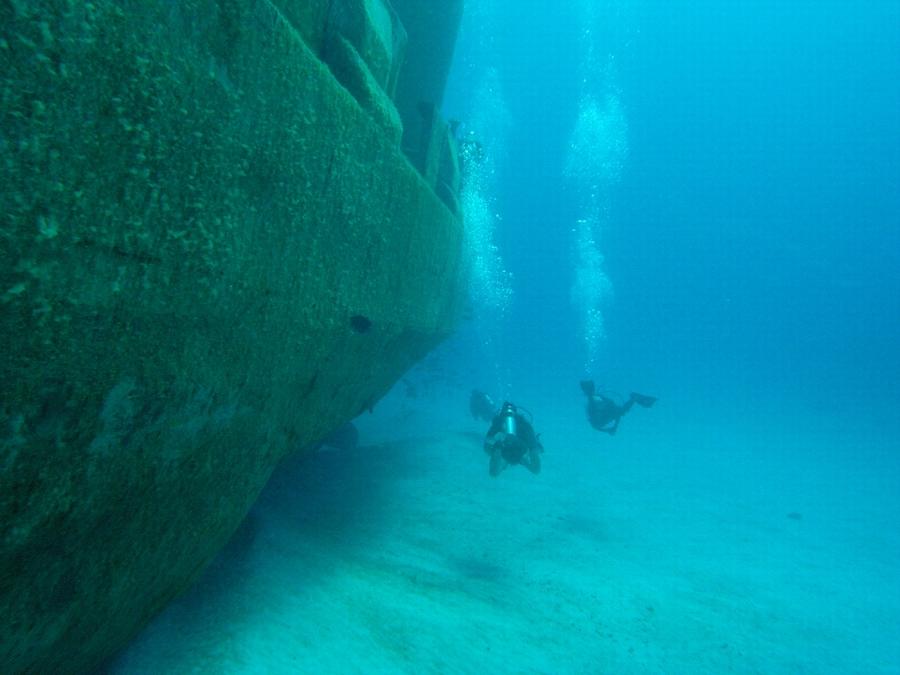 Kittiwake - Swimming along the port side