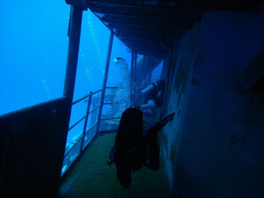 Kittiwake - Swimming down the deck