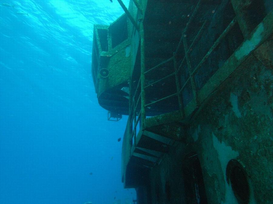 Kittiwake - Looking up the side