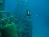 Kittiwake - Heading toward the stern