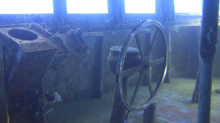 Kittiwake - Wheel House