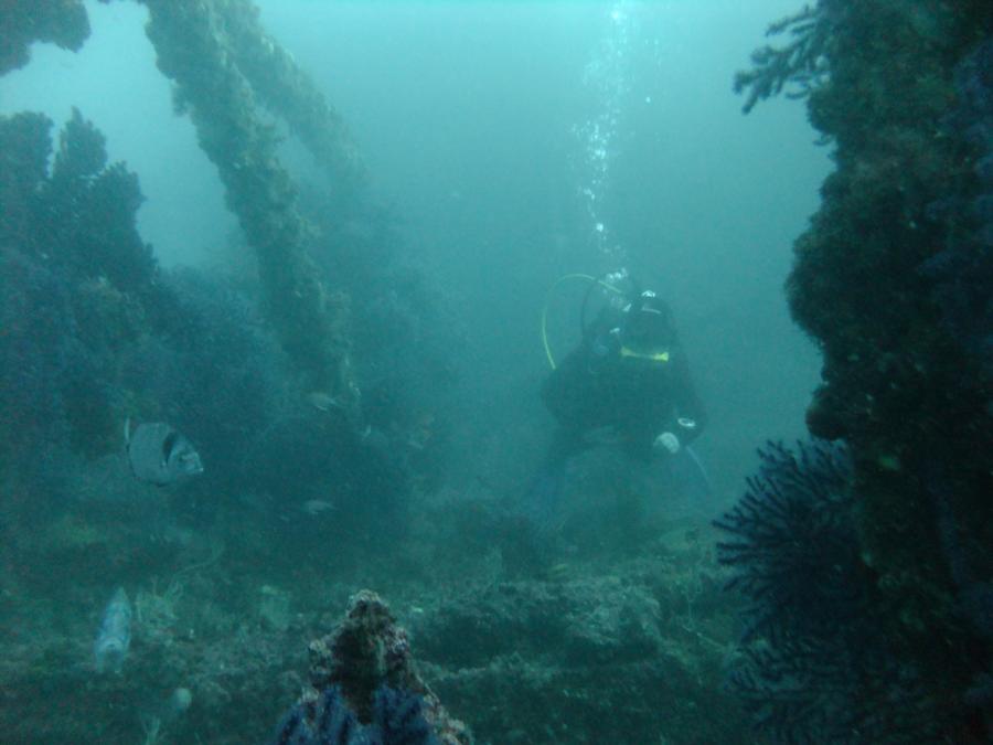 SS Rosslyn - 2, SS Rosslyn, Gibraltar