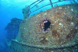 The Willaurie Wreck - The Willaurie Wreck