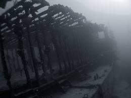 The Willaurie Wreck - The Willaurie Wreck