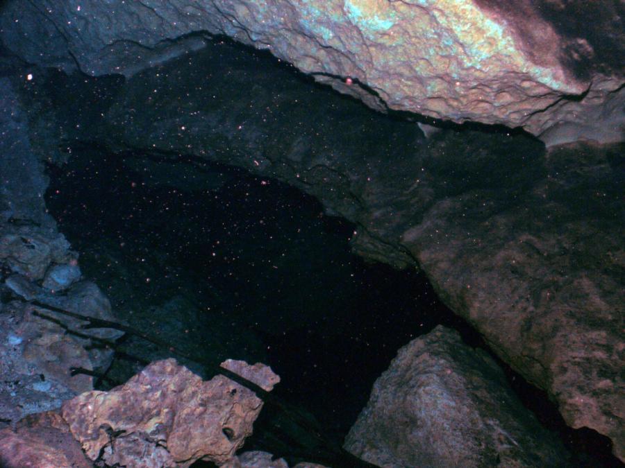 Orange Grove Sink Spring - Don’t get too curious, cave divers only in there