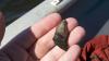 Carcharodon Megalodon (a “Super” Great White) tooth