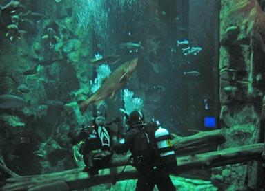 Great Lakes Aquarium - Great Lakes Aquarium