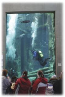 Great Lakes Aquarium - Great Lakes Aquarium