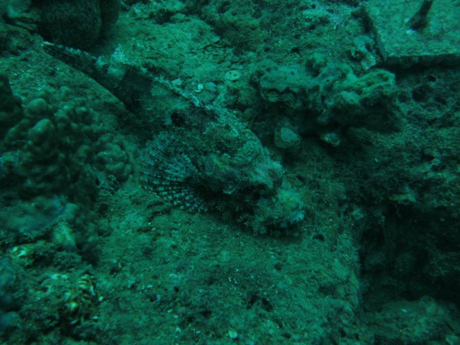 Airport reef - www.dive-paradise.com