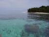 Nusambert, Cenderawasih Bay