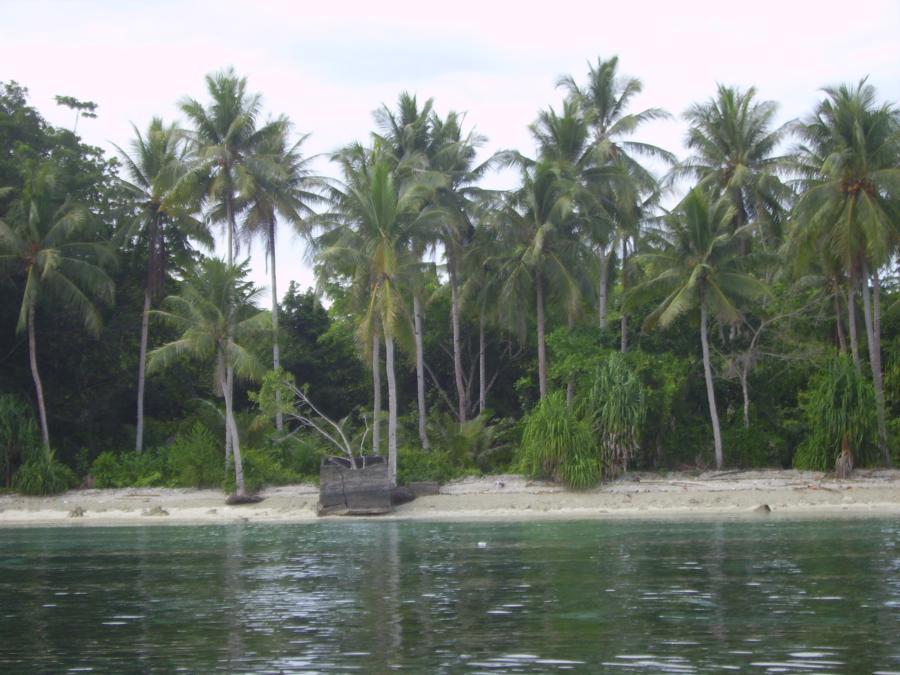 Mansinam Pillbox Wreck - a beach near Mansinam Pillbox Wreck