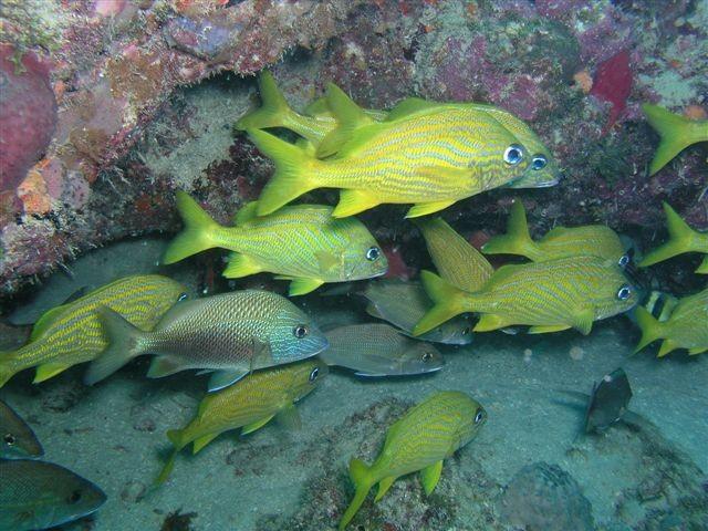 San Remo - Under the ledge