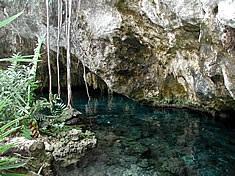 Gran Cenote (Sac Aktun) - Gran Cenote