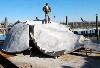 Axel Carlson Artificial Reef, Veronica M - From Asbury Park Press