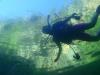 A view of a diver from below, and wall above.