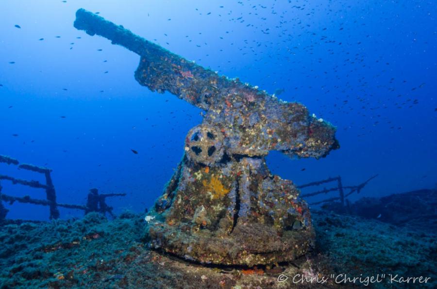KT12 Wreck - The cannon of the KT12 Wreck