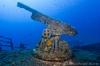 The cannon of the KT12 Wreck - SardiniaDivers