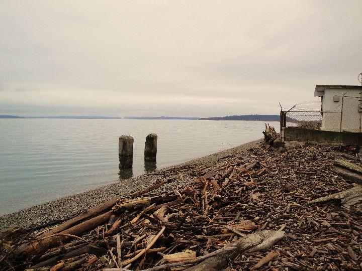 Driftwood Bottle Field - Driftwood Bottle Field