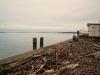 Driftwood Bottle Field - Whidbey Island WA