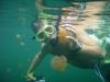 Jellyfish Lake, Palau