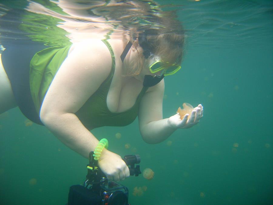 Jellyfish Lake - Jellyfish Lake, Palau