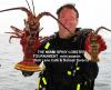 one big lobster around 8lbs. - spinymike