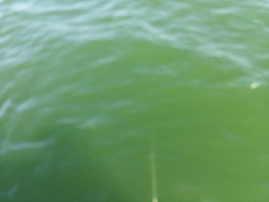 Lake Bridgeport - Water