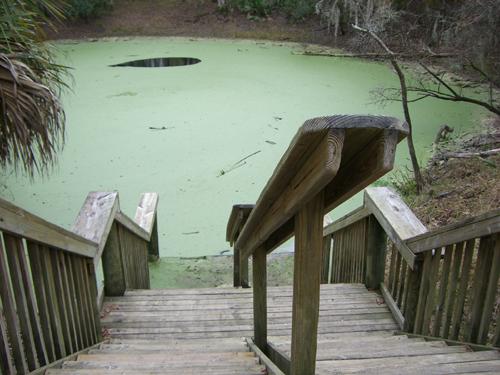 Catfish Hotel @ Manatee Springs State Park - Entrance to Catfish Hotel