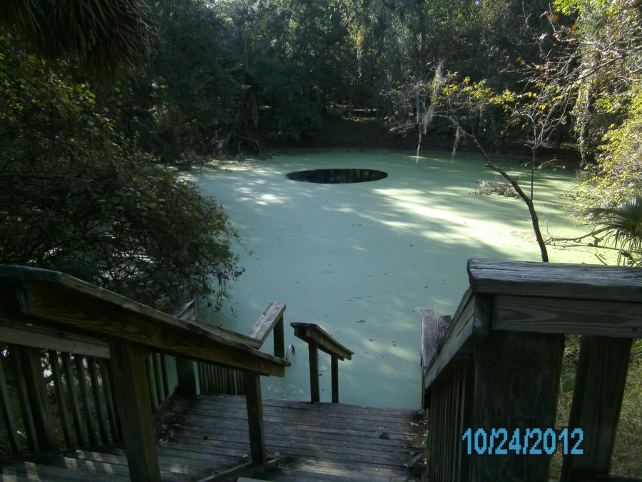 Catfish Hotel @ Manatee Springs State Park - CATFISH HOTEL