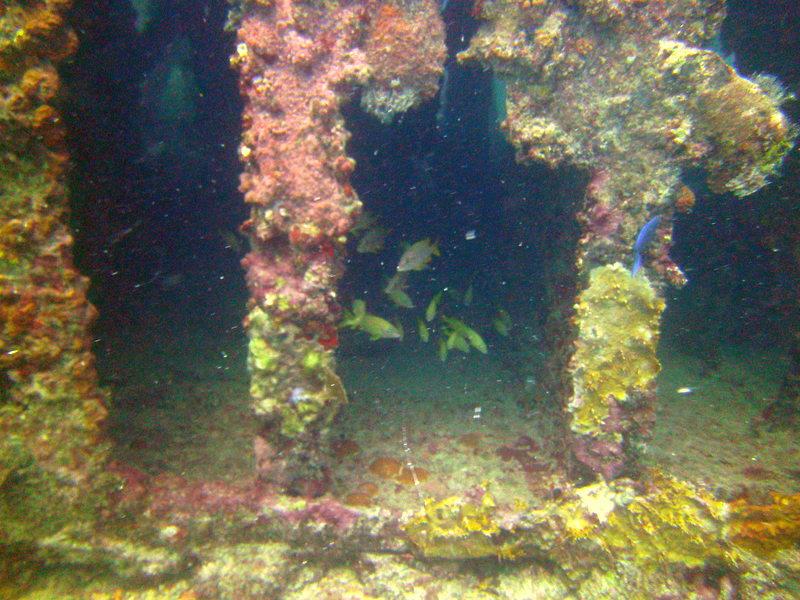 Navy Barges - Navy Barges St Thomas