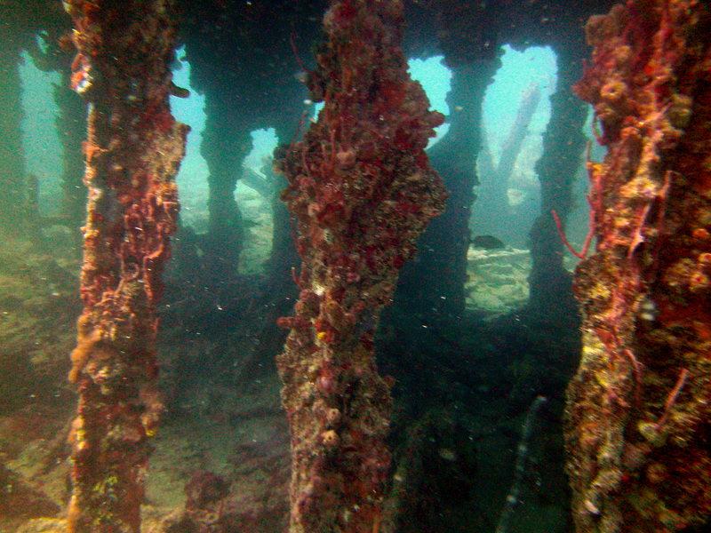 Navy Barges - Navy Barges St Thomas