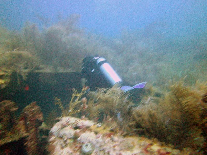 Navy Barges - Navy Barges St Thomas