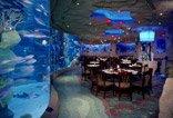 Under the Sea - Denver Downtown Aquarium - Dining Room 01
