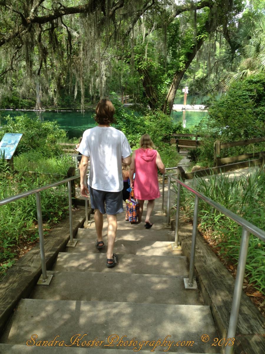 Fanning Springs State Park - Photo uploaded by  (image.jpg)