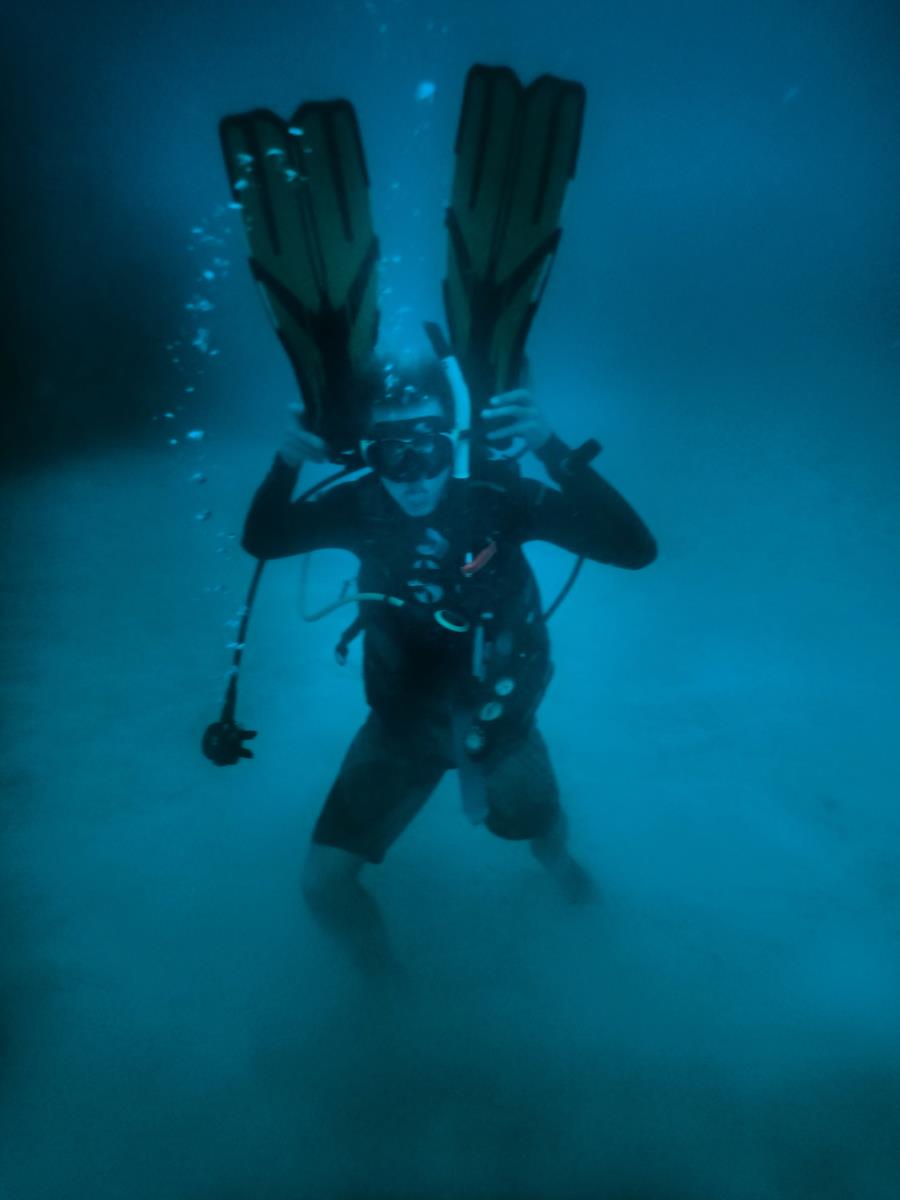 Thetford Reef - Dogfox entertaining divers