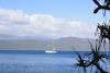 Rum Runner Cairns from Fitzroy Island - McNair