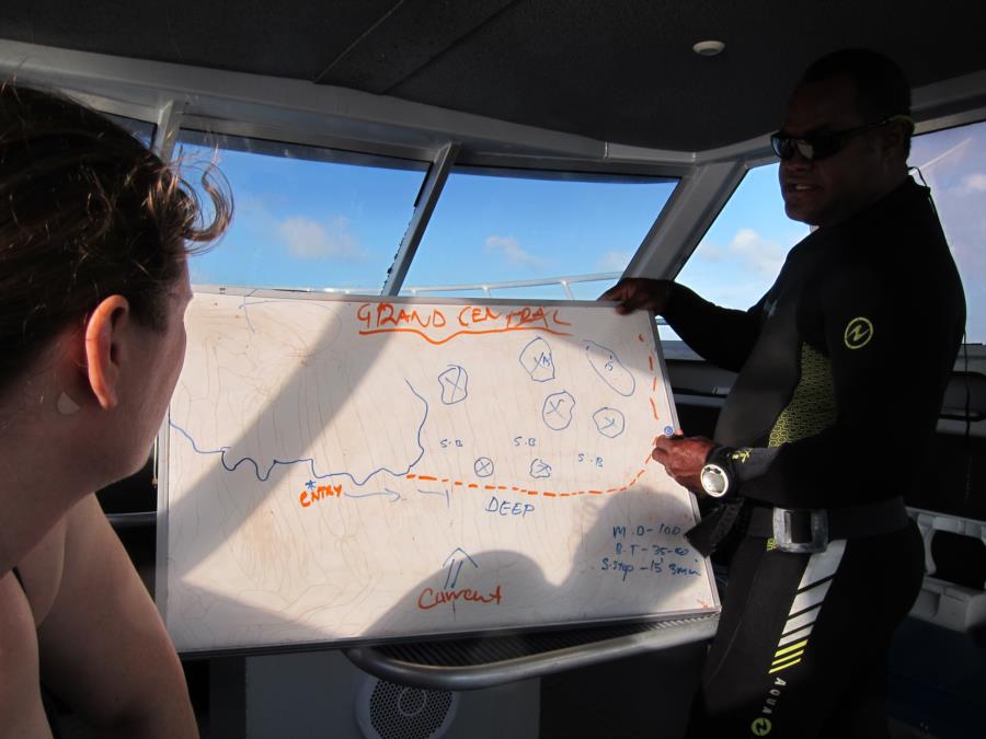 Grand Central Station, Namena, Fiji - Dive plan