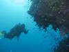 Chimneys, Namena Marine Reserve, Fiji - diver 1