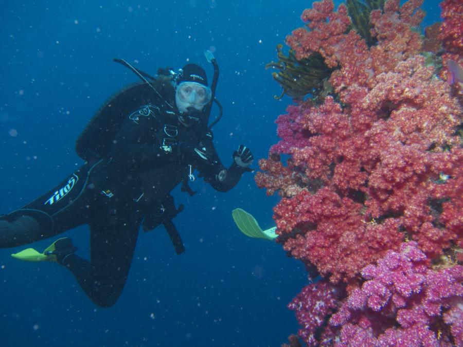 Chimneys, Namena Marine Reserve, Fiji - diver 2